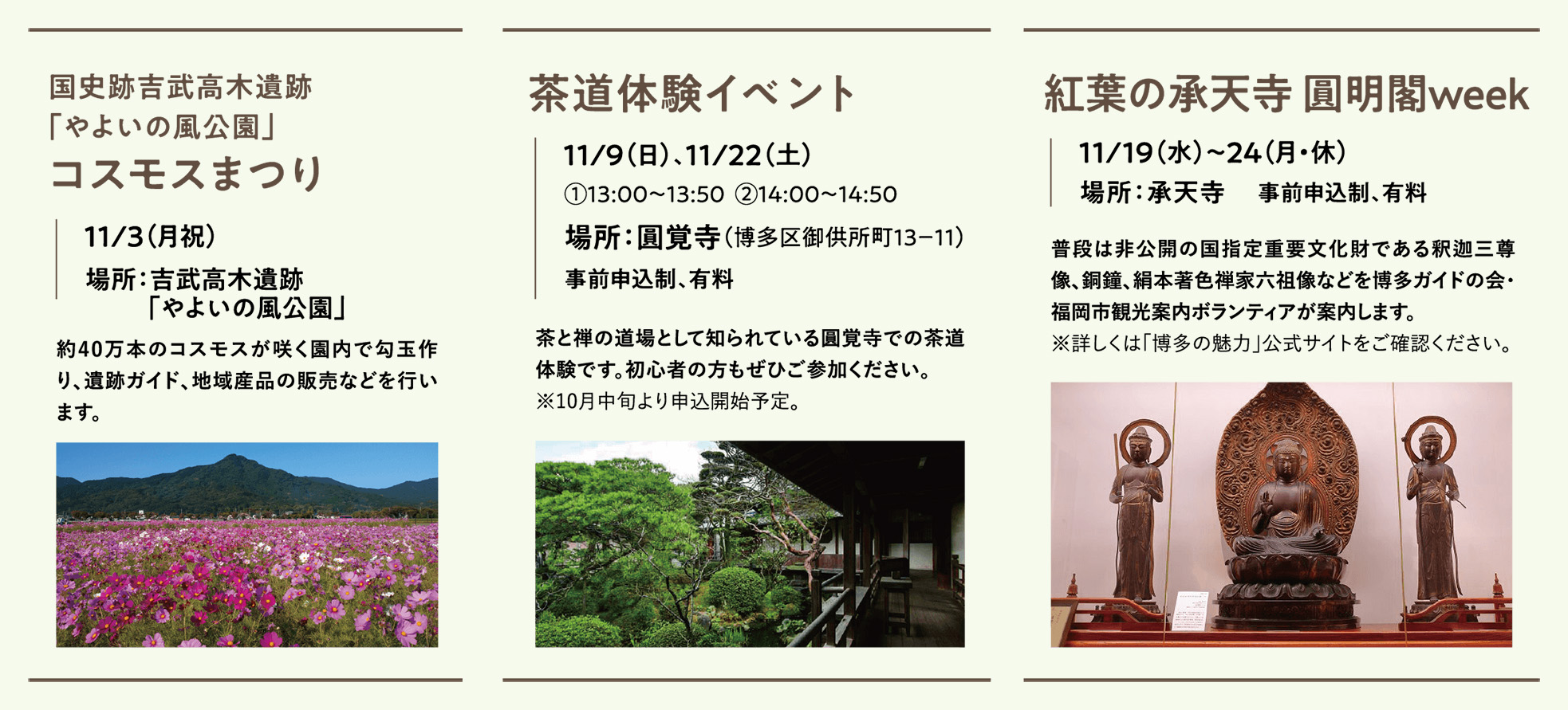 国史跡吉武高木遺跡「やよいの風公園」コスモスまつり/茶道体験イベント/紅葉の承天寺 圓明閣week
