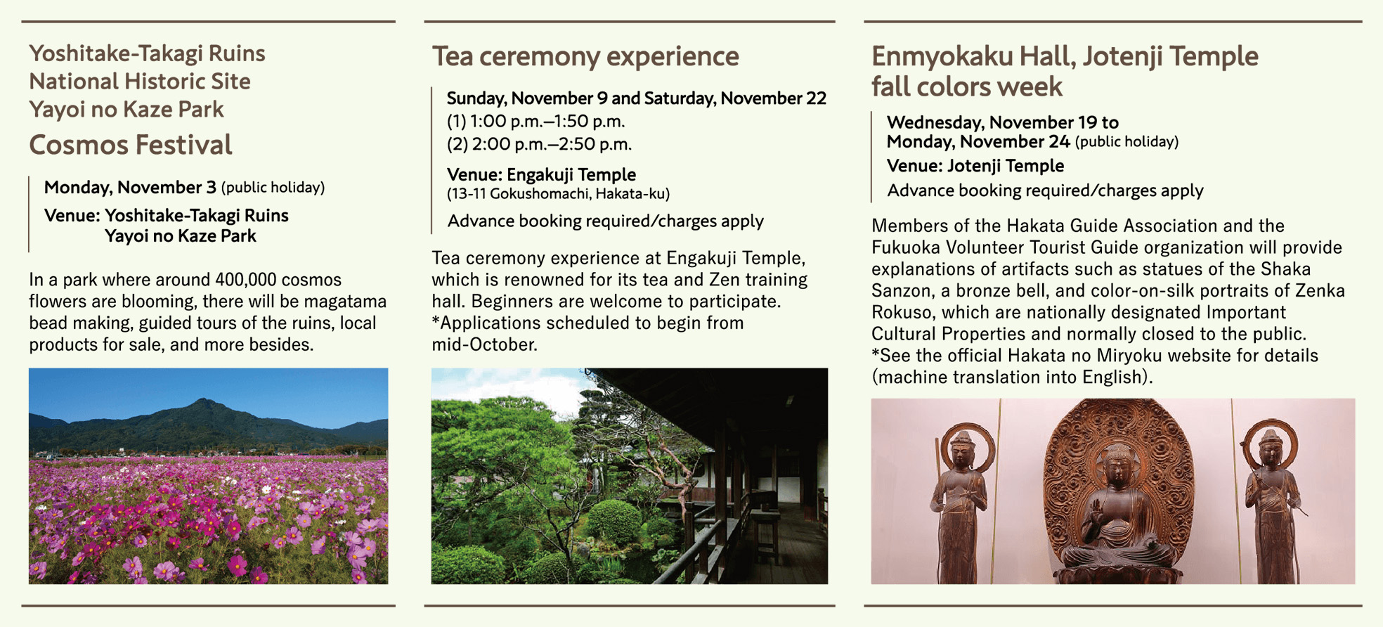 Toshitake-Takagi Ruins National Historic Site Yayoi no Kaze Park Cosmon Festival/Tea ceremony experience/Enmyokaku Hall, Jotenji Temple fall colors week